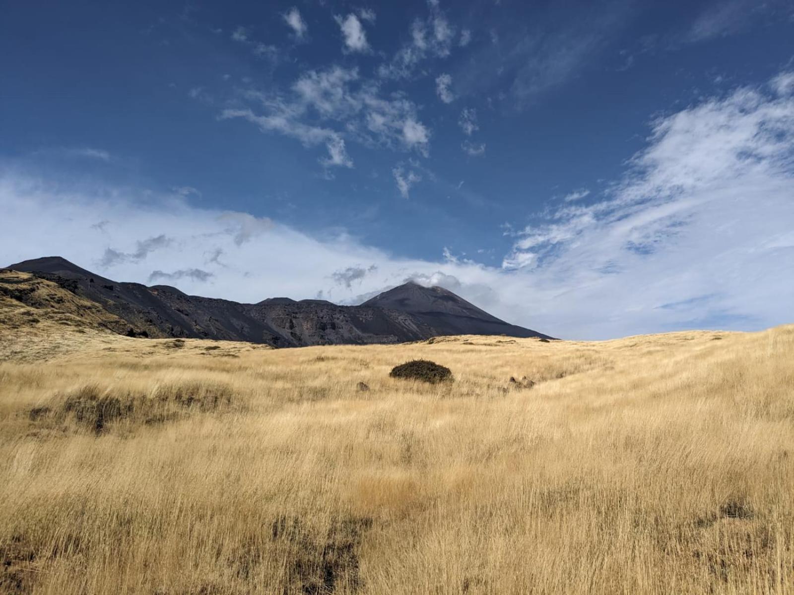 Attico Sul Porto Di Catania E Vista Vulcano Εξωτερικό φωτογραφία